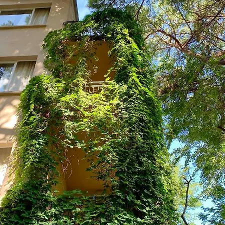 加尔尼野餐酒店 酒店 *