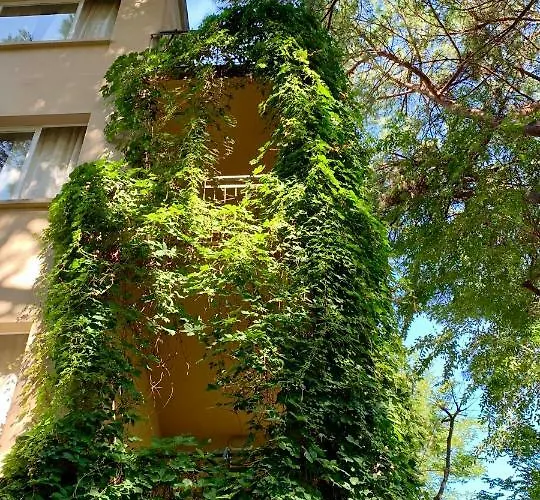 Garni Picnic Hotel *